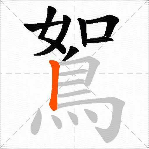 鴽