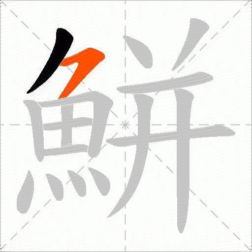 鮩