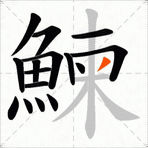 鰊