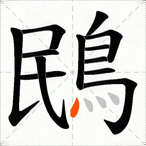 鴖