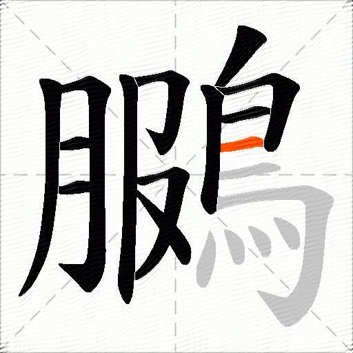 鵩