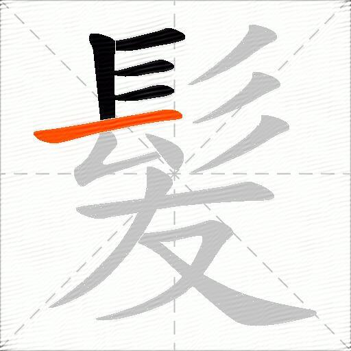 髪