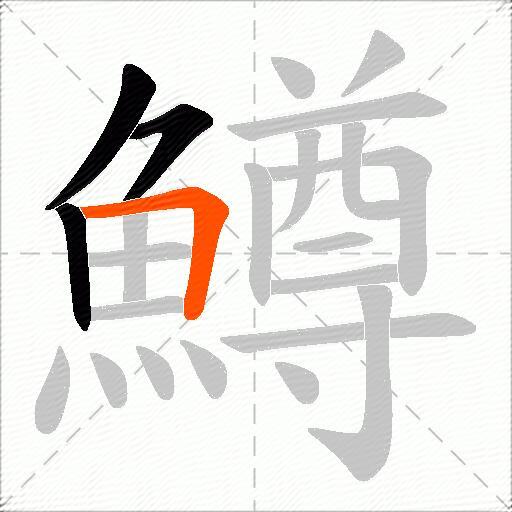 鱒