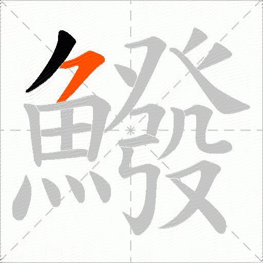 鱍