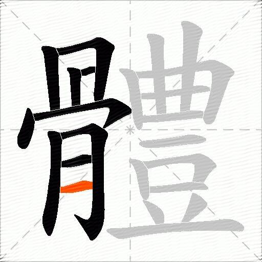 體