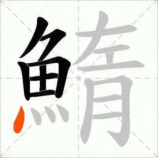 鰖