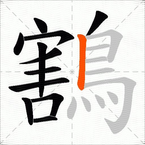 鶷