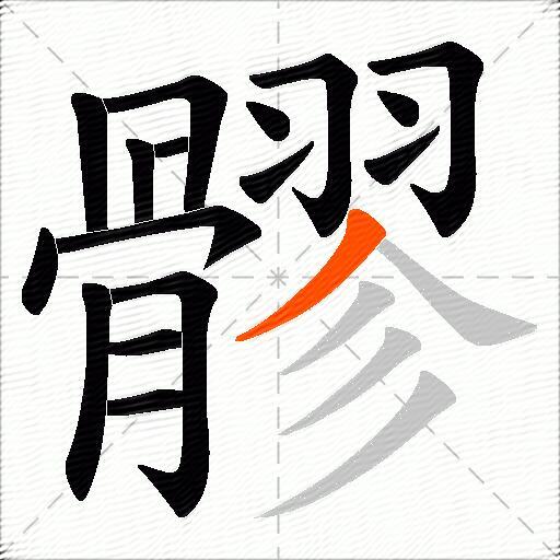髎