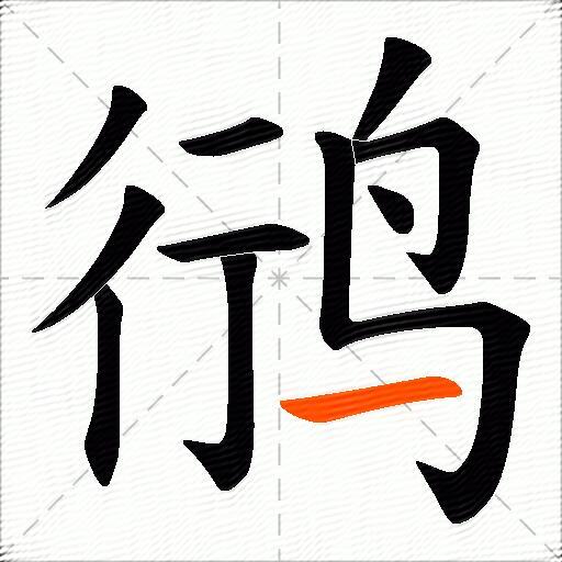 鸻