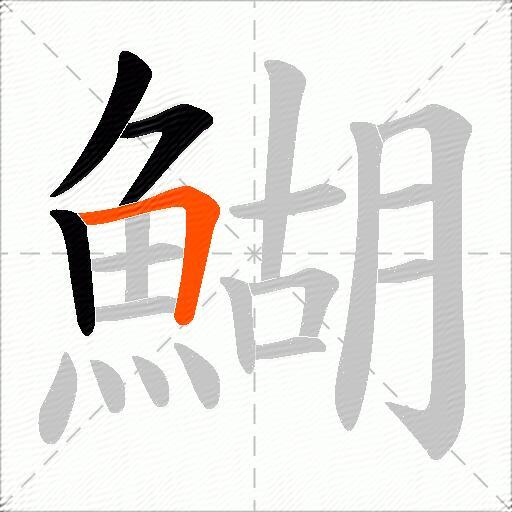 鰗