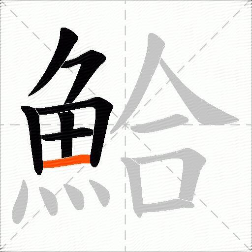 鮯