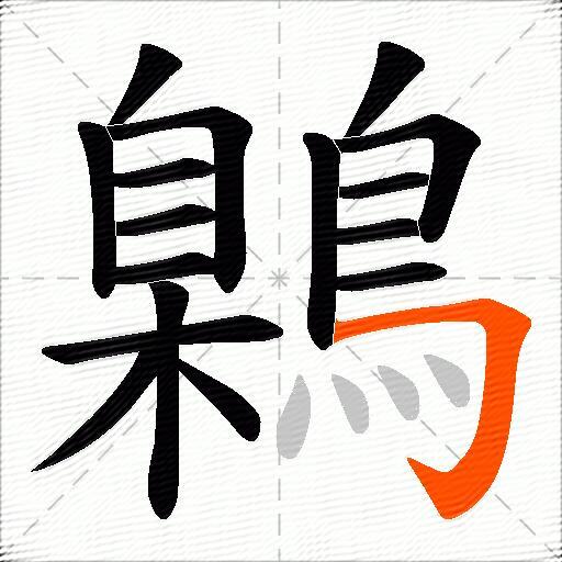 鷍