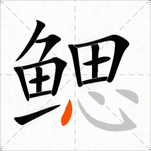 鳃