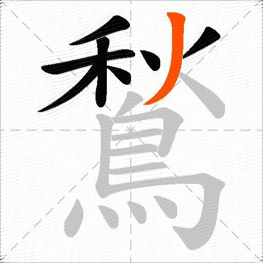 鶖