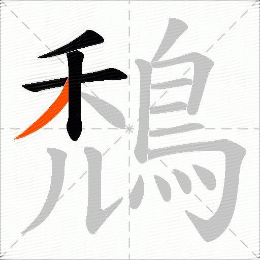 鵚