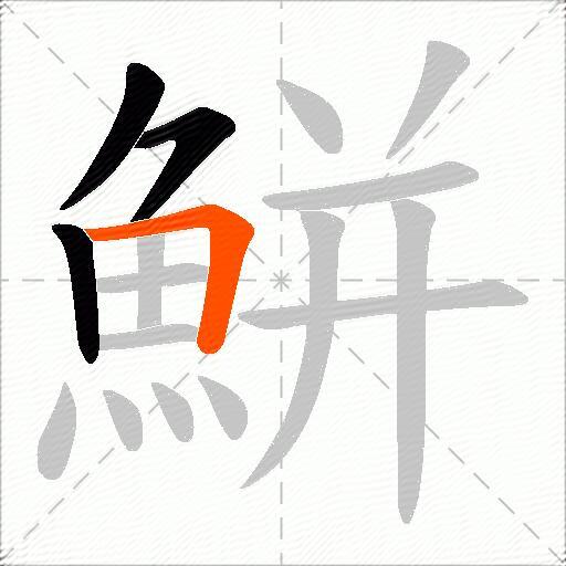 鮩
