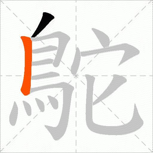 鴕