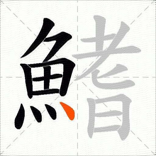 鰭