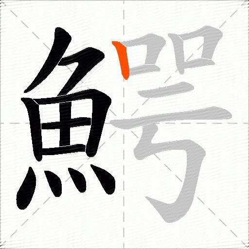 鰐