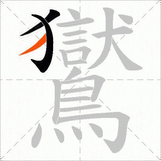 鸑