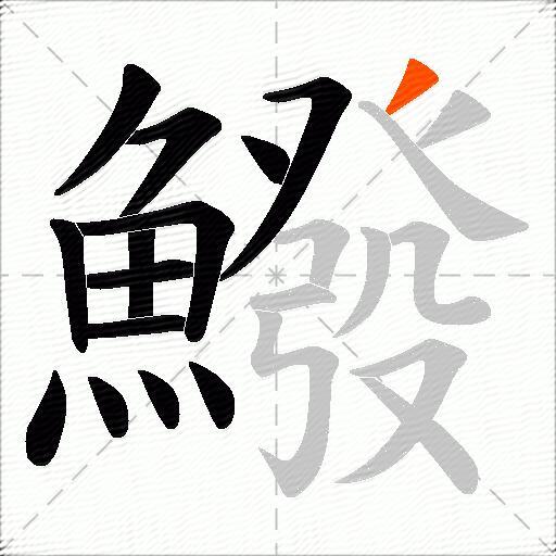 鱍