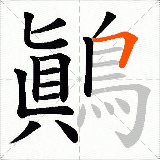 鷆