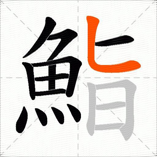 鮨
