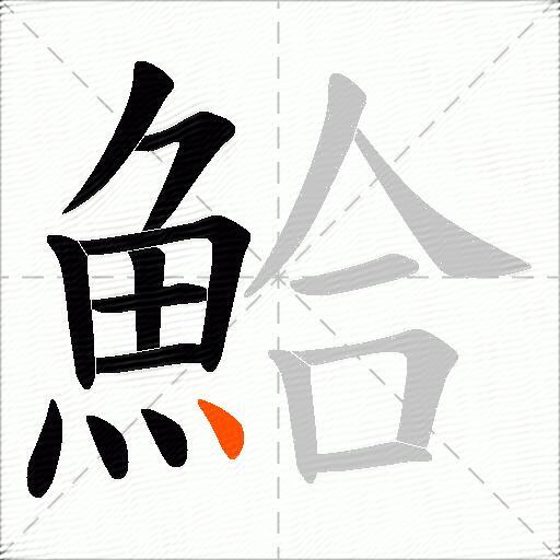 鮯