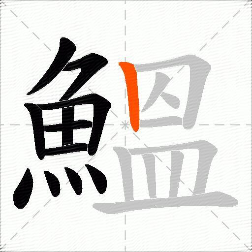 鰮