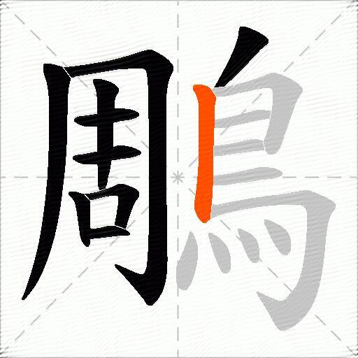 鵰