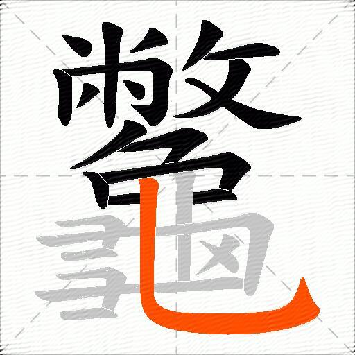 龞