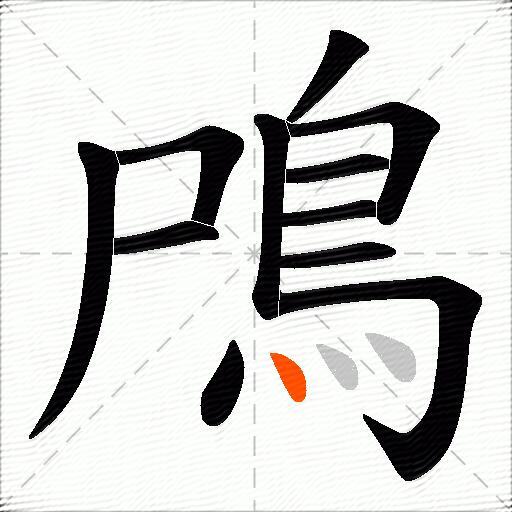 鳲