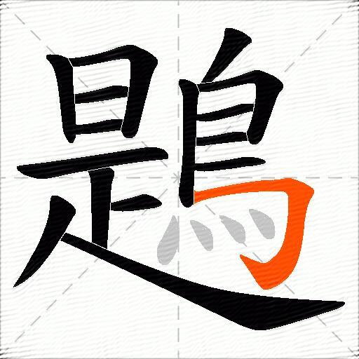 鶗