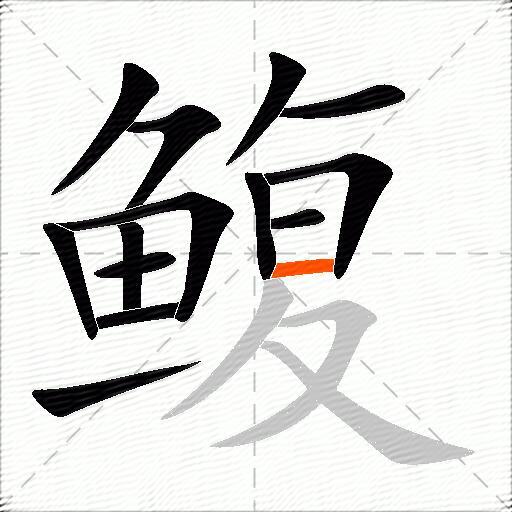 鳆