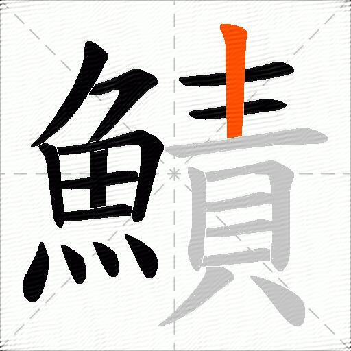 鰿