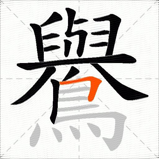 鸒