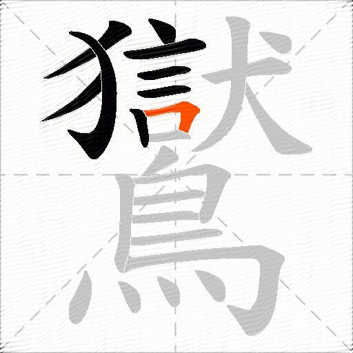 鸑