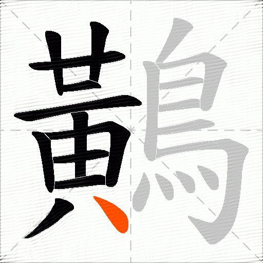 鷬