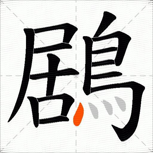 鶋