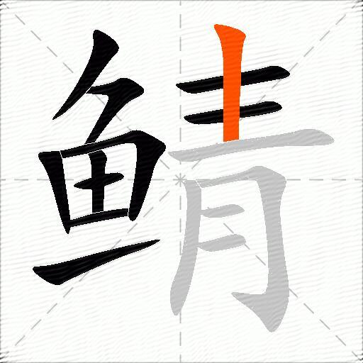 鲭