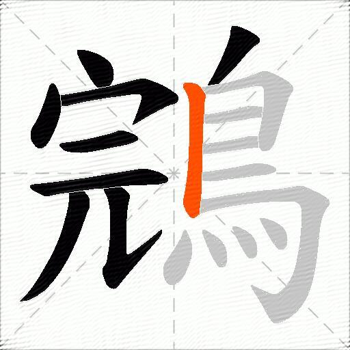 鵍