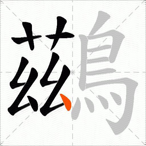鷀