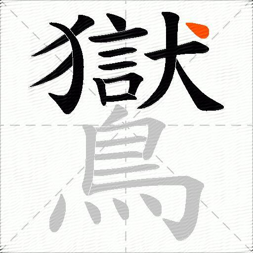 鸑