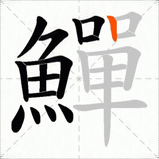 鱓