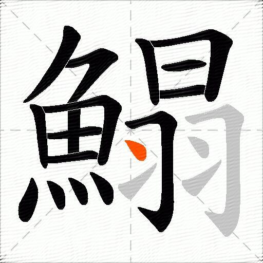 鰨
