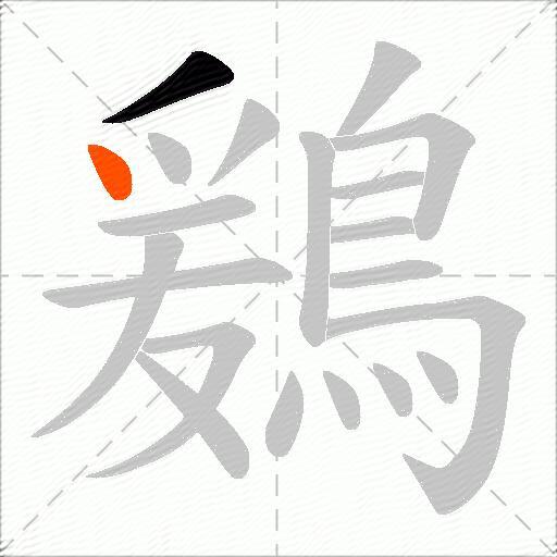 鶢