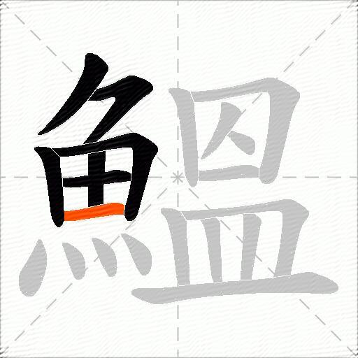 鰮