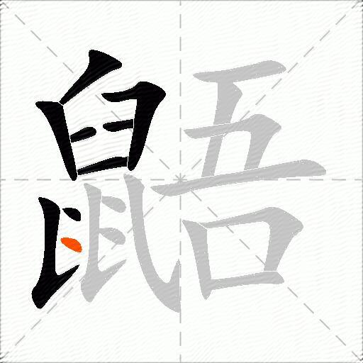 鼯