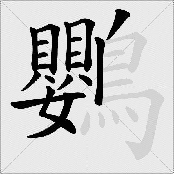 鸚
