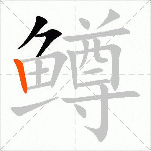 鳟